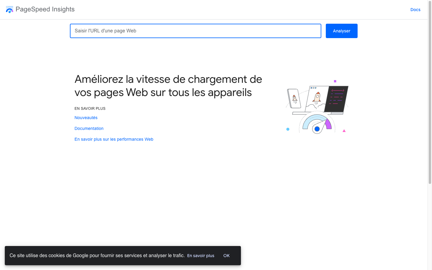 Capture publique de PageSpeed Insights — outil Google de mesure de la performance web, illustrant les indicateurs clés d'un site à refondre.